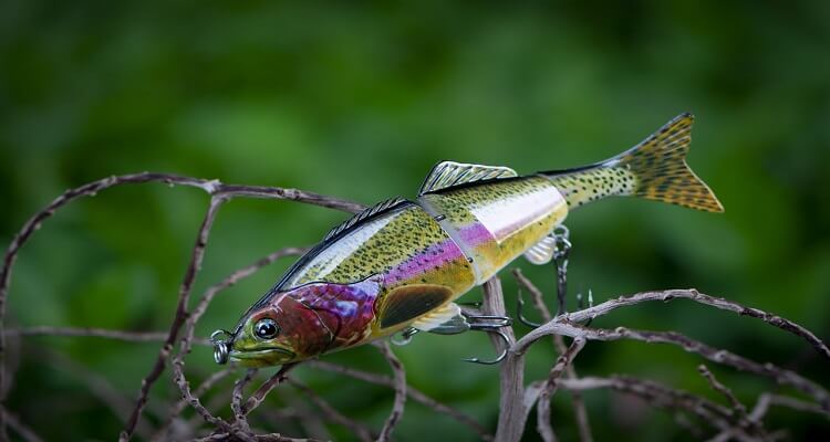 How to Fish With Lures