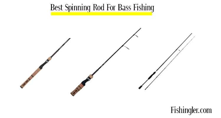 best spinning rod for bass fishing