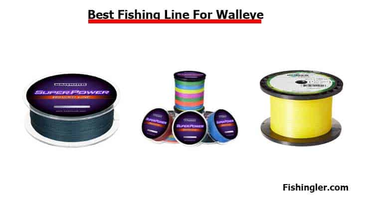 Best Fishing Line For Walleye