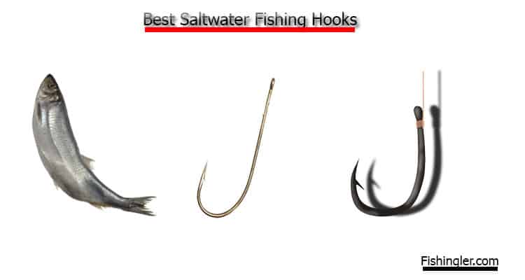 best saltwater fishing hooks