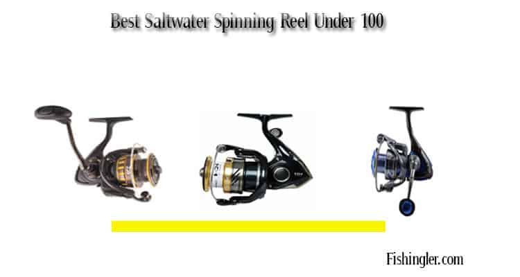 Best Saltwater Spinning Reel Under 100