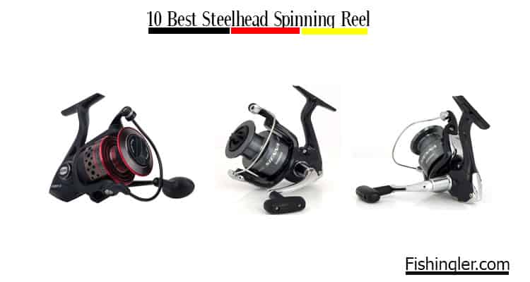 Best Steelhead Spinning Reel